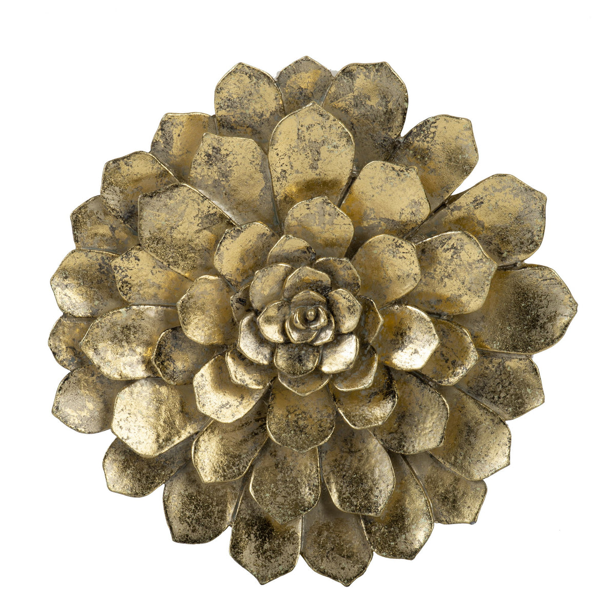 Succulent Wall Plaque