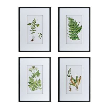 Botanical And Fern Wall Art, Wall Decor For Living Room Dining Room Entryway (Set of 4) - White / Black