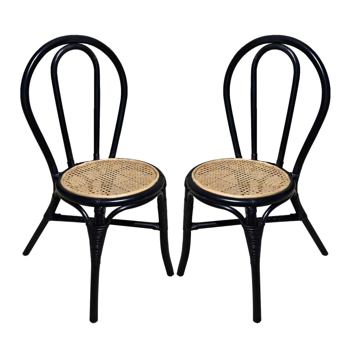 Rattan Dining Chair (Set of 2) - Black Multi