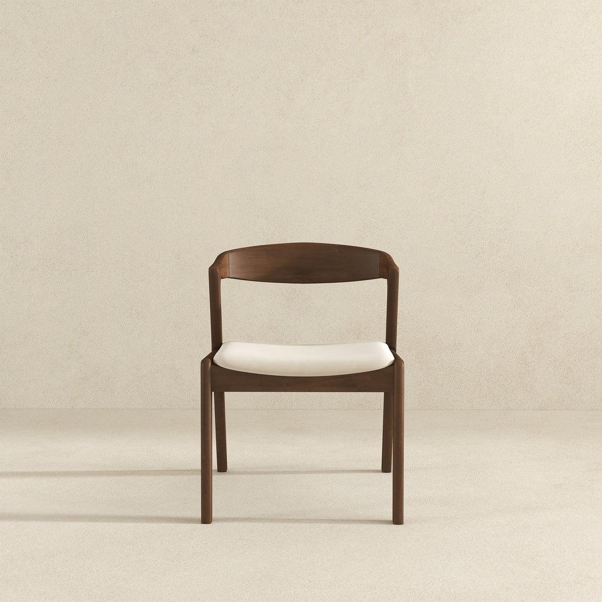 Dakota - Mid-Century Modern Dining Chair (Set of 2)
